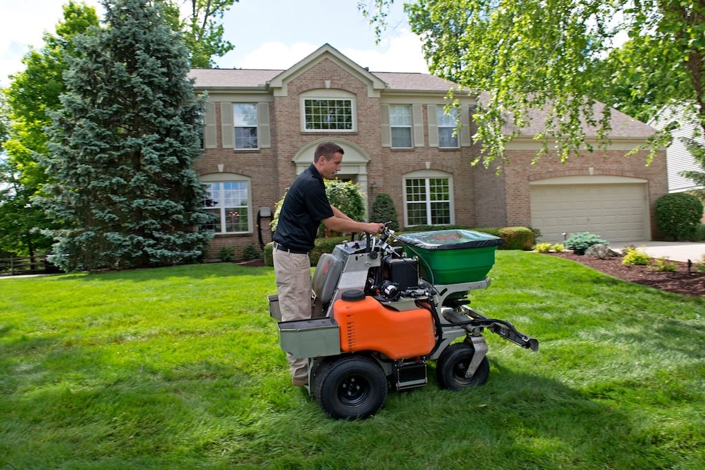 Grass Seeding