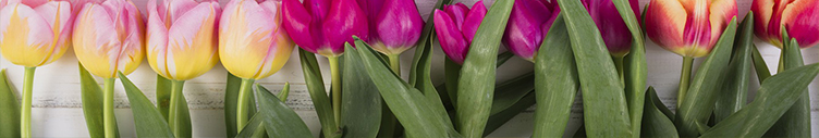 May 2020 SCOOP eNewsletter May 2020 SCOOP eNewsletter