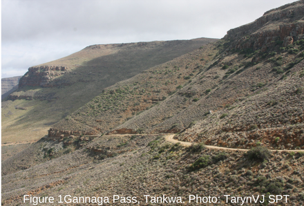 Epic road trip: National Parks in Western Cape