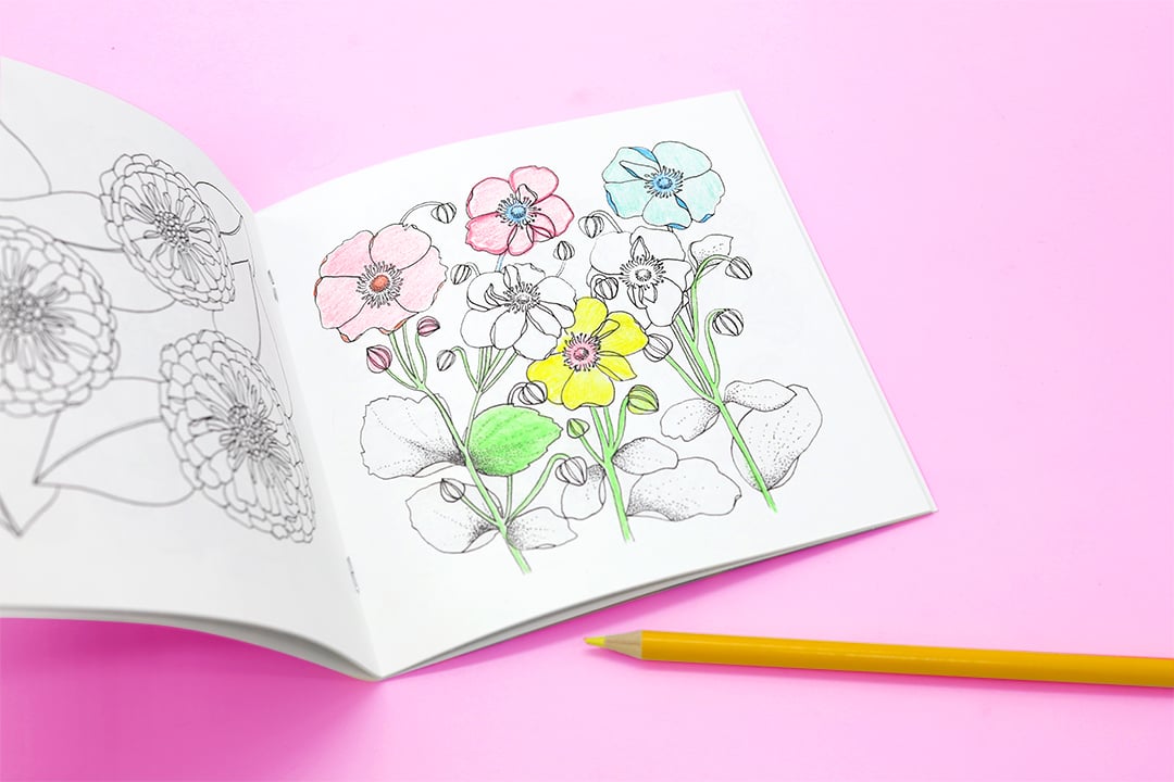Download How To Make A Coloring Book To Sell