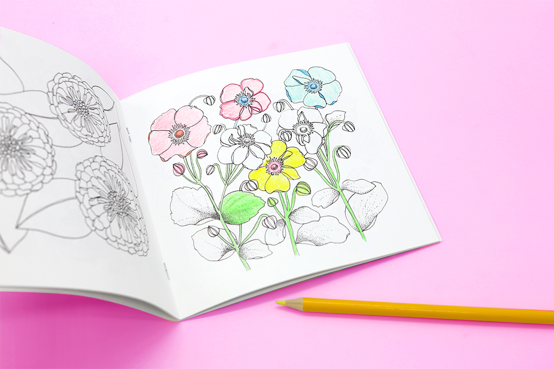 Coloring Book Creation Software Amanda Gregory's Coloring Pages