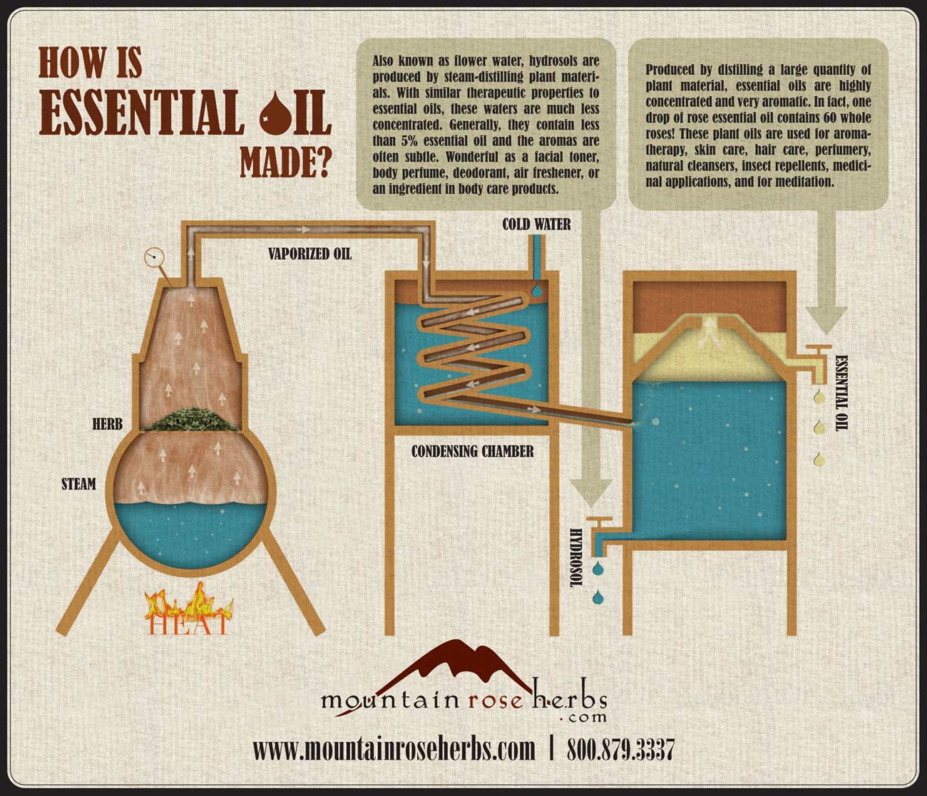 How Is Essential Oil Made