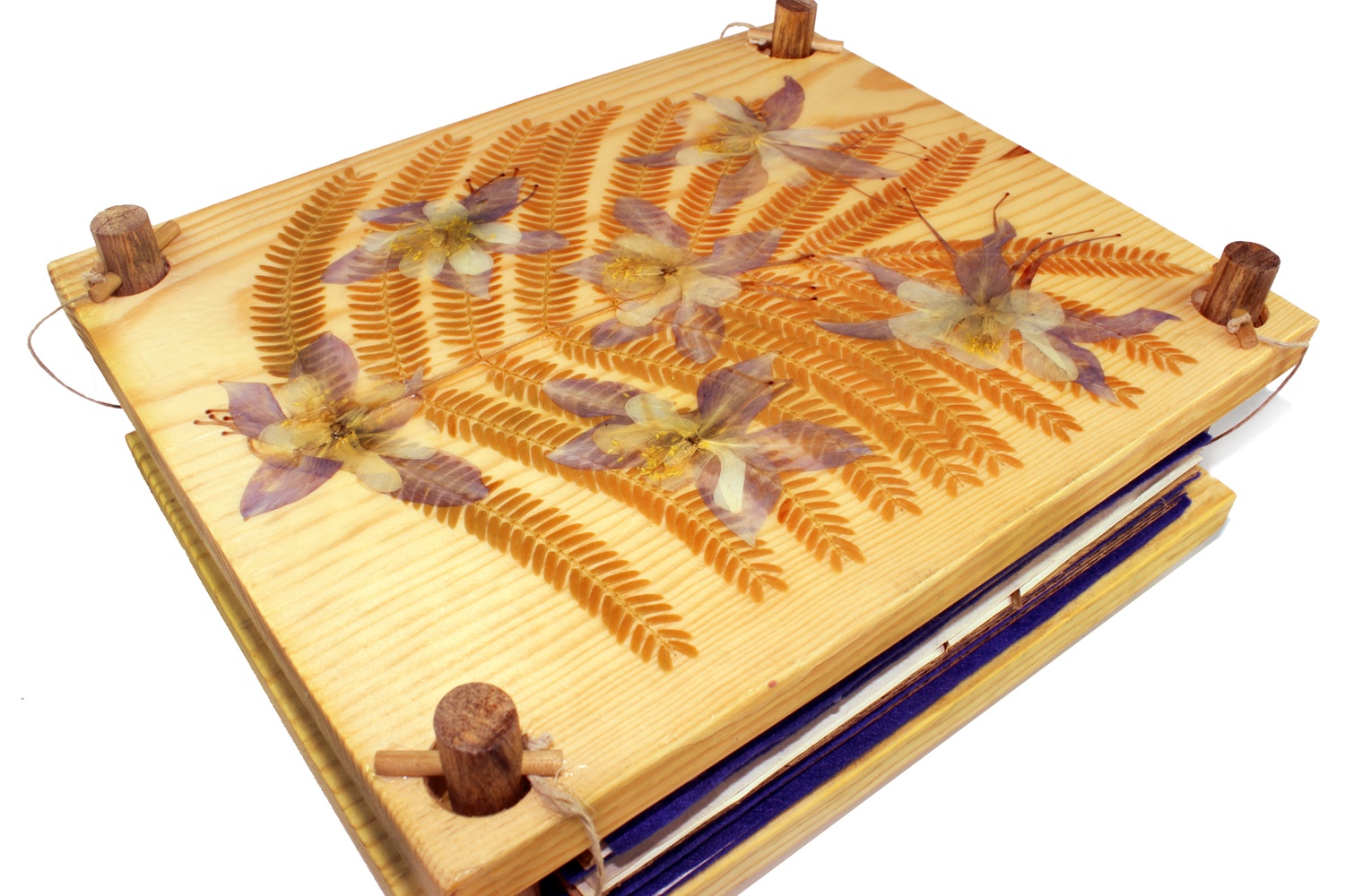 Make a Plant Press Make a Plant Press