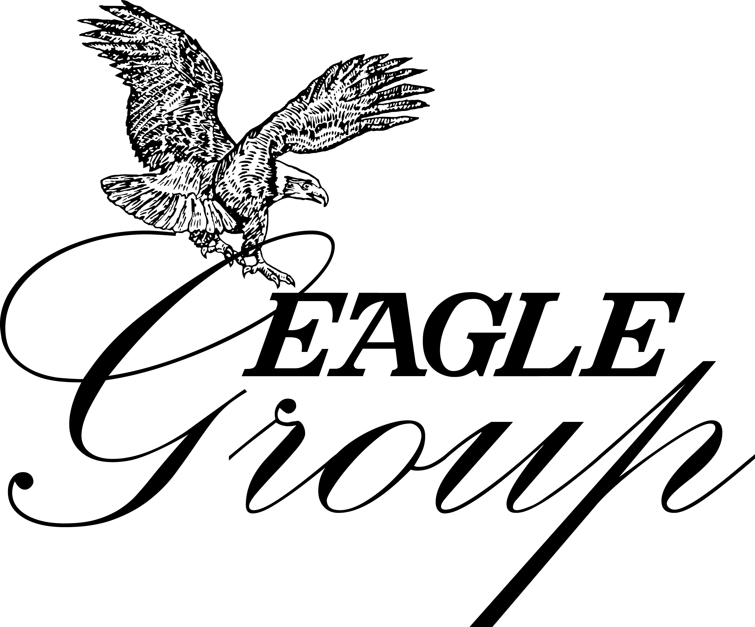 The Eagle Group - Logo