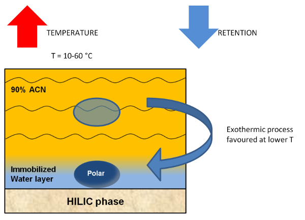 HILIC Solutions #7: Column temperature in HILIC-1