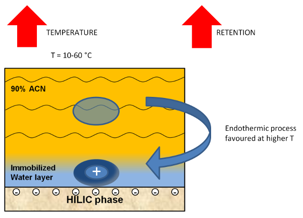 HILIC Solutions #7: Column temperature in HILIC-2