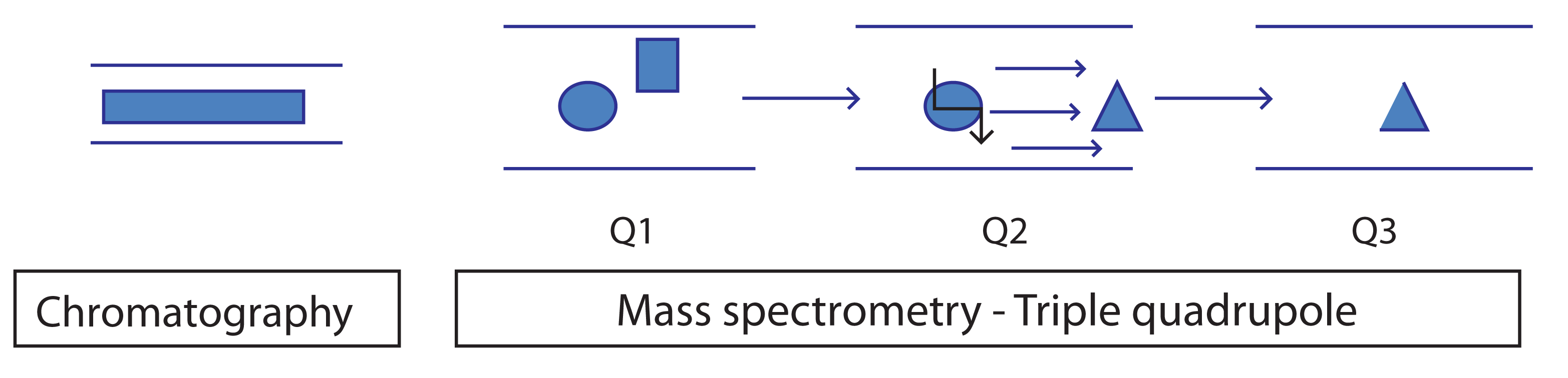 MS Solutions #1: Quantitation in hyphenated chromatographic techniques-2