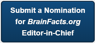 submit-bf-eic- nomination.png