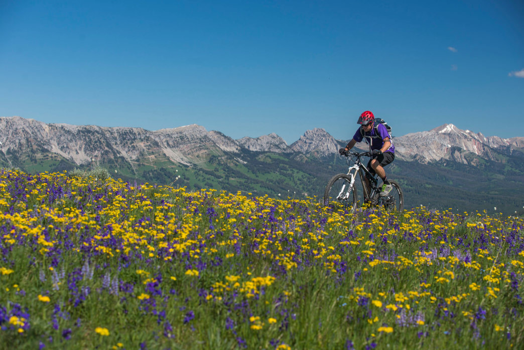 mtn bike trails near me