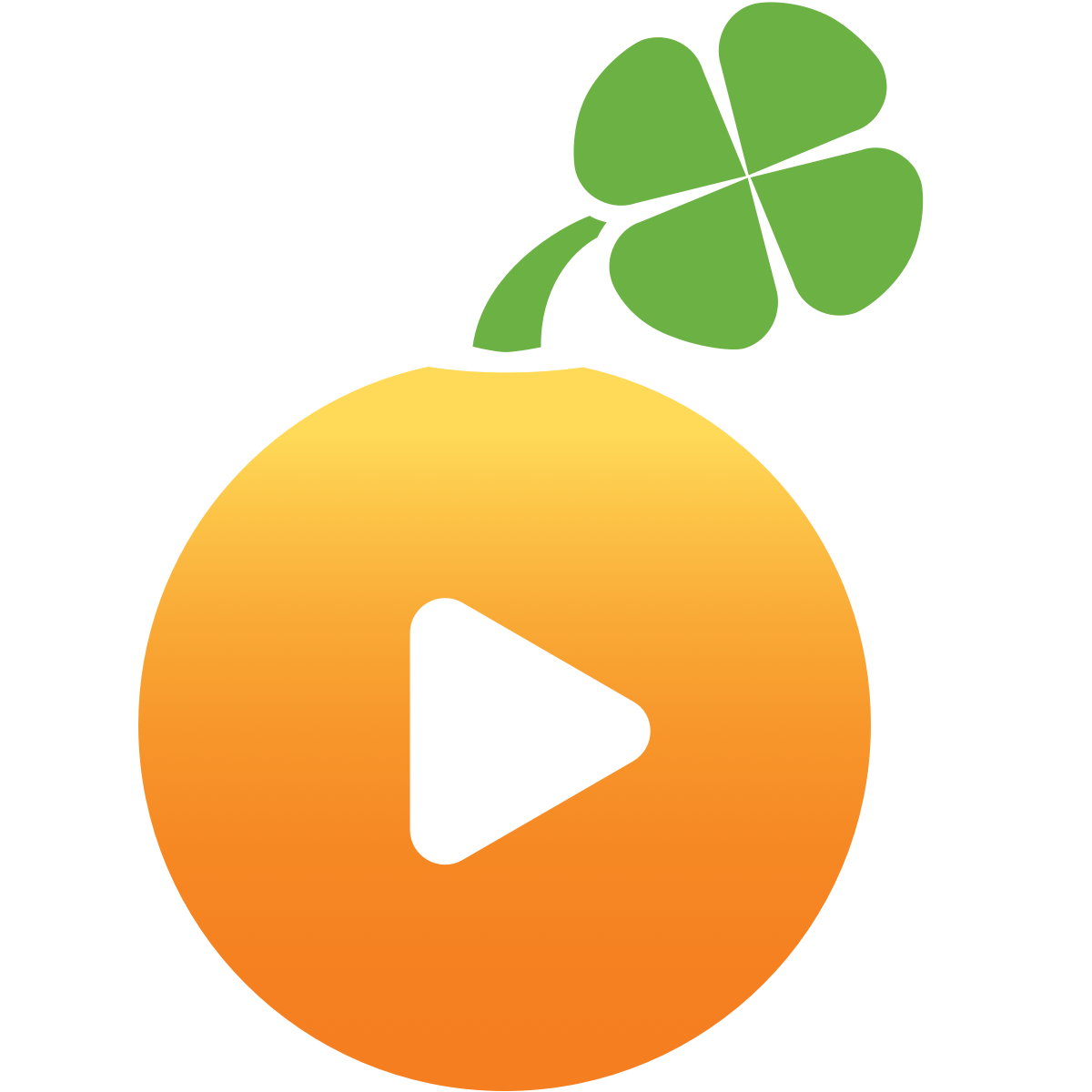 Image result for what is lucky orange