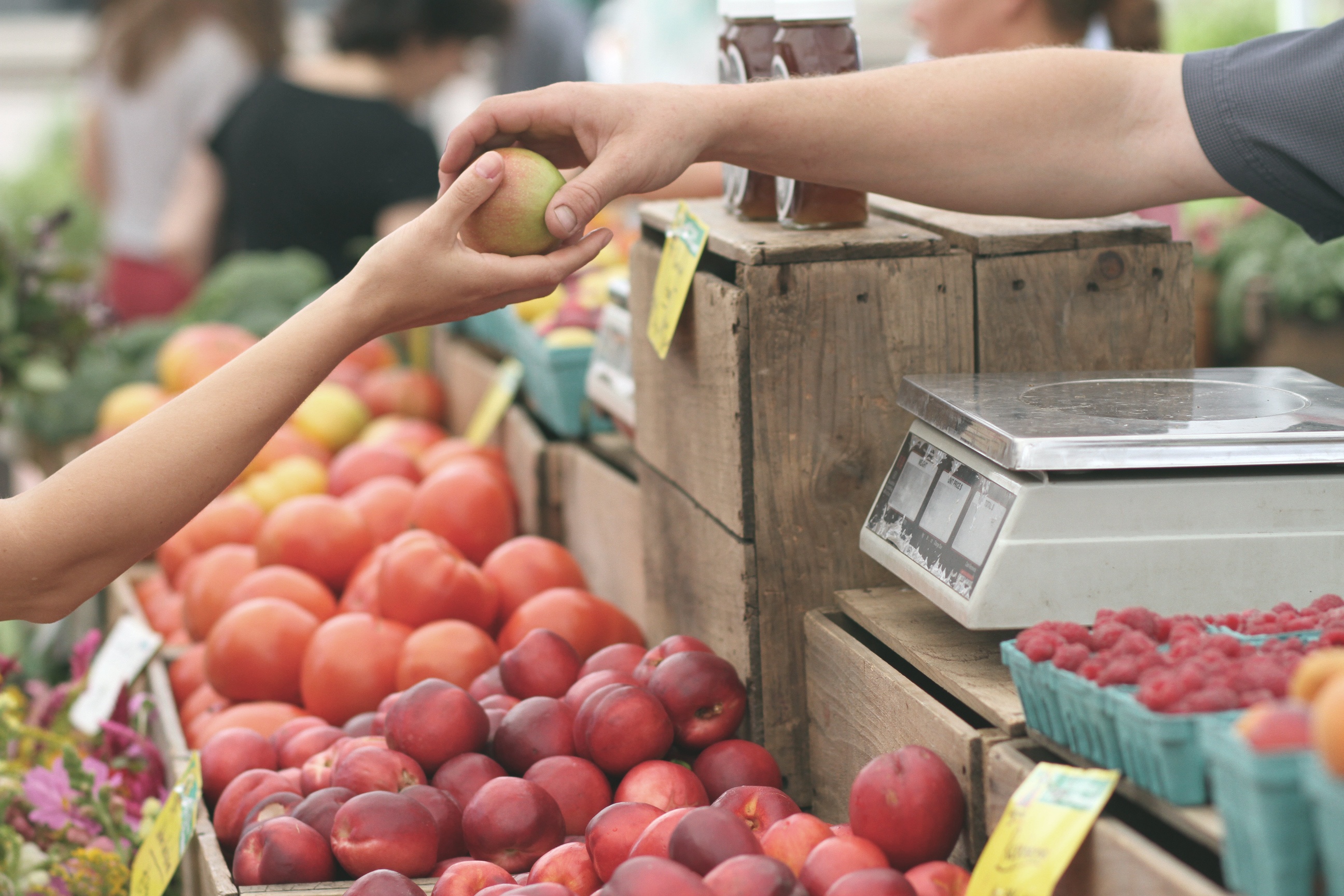 Small Business Saturday Apples Organic Farms Small Business Loans.jpeg