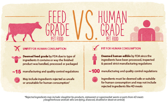 human grade cat food