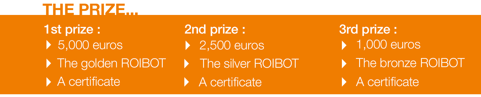 ROIBOT Preis EN