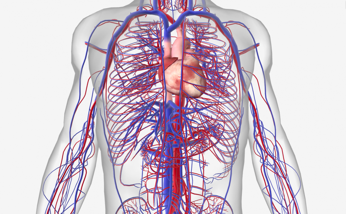 cardiovascular-system-with-diseases