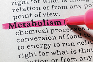 how dieting affects metabolism