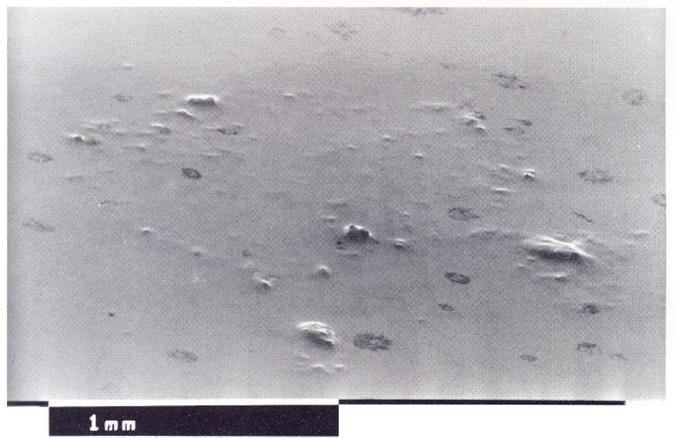 die casting nodules die casting nodules