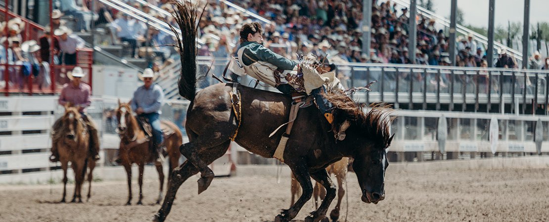 What is bad data? 5 things you need to know