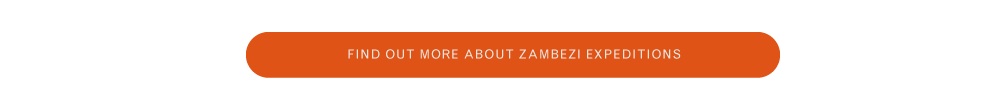 Newsletter-Call-To-Action-Button-(zambezi-expeditions)