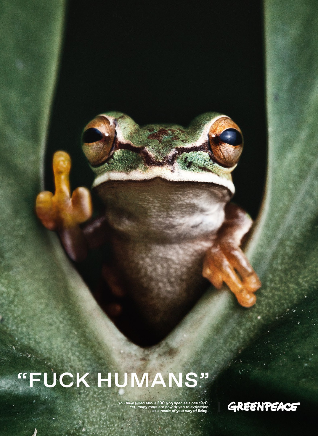 GreenPeace_FuckHumans-Frogg-Tabloid_ti