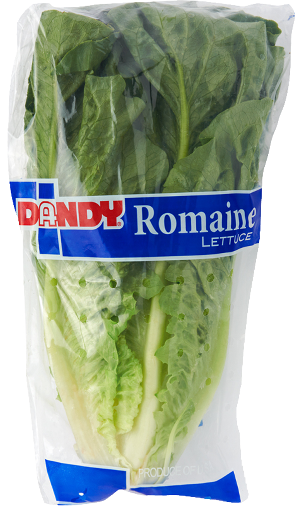 Leafy Romaine Lettuce | Duda Farm Fresh Foods