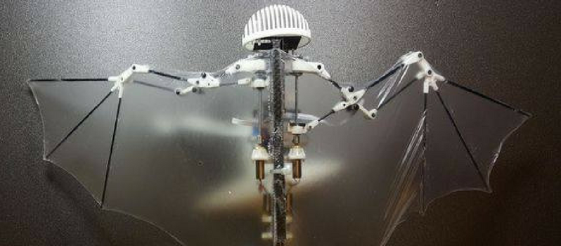 Introducing The Bat Bot