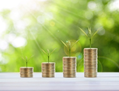 An Investment In Marketing Is An Investment For Your Whole Business