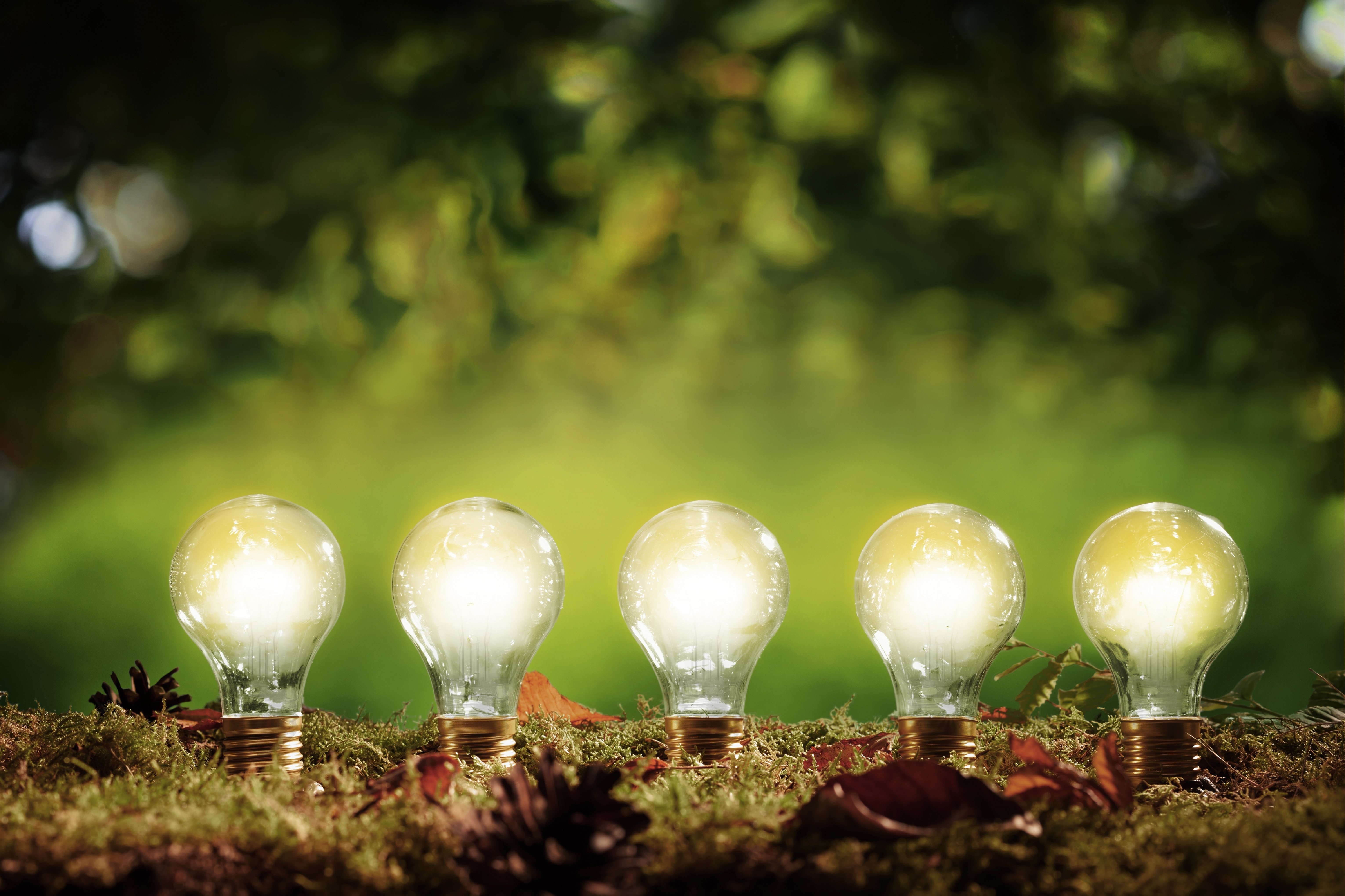 5 Things Every Product Manufacturer Must Know To Drive Leads