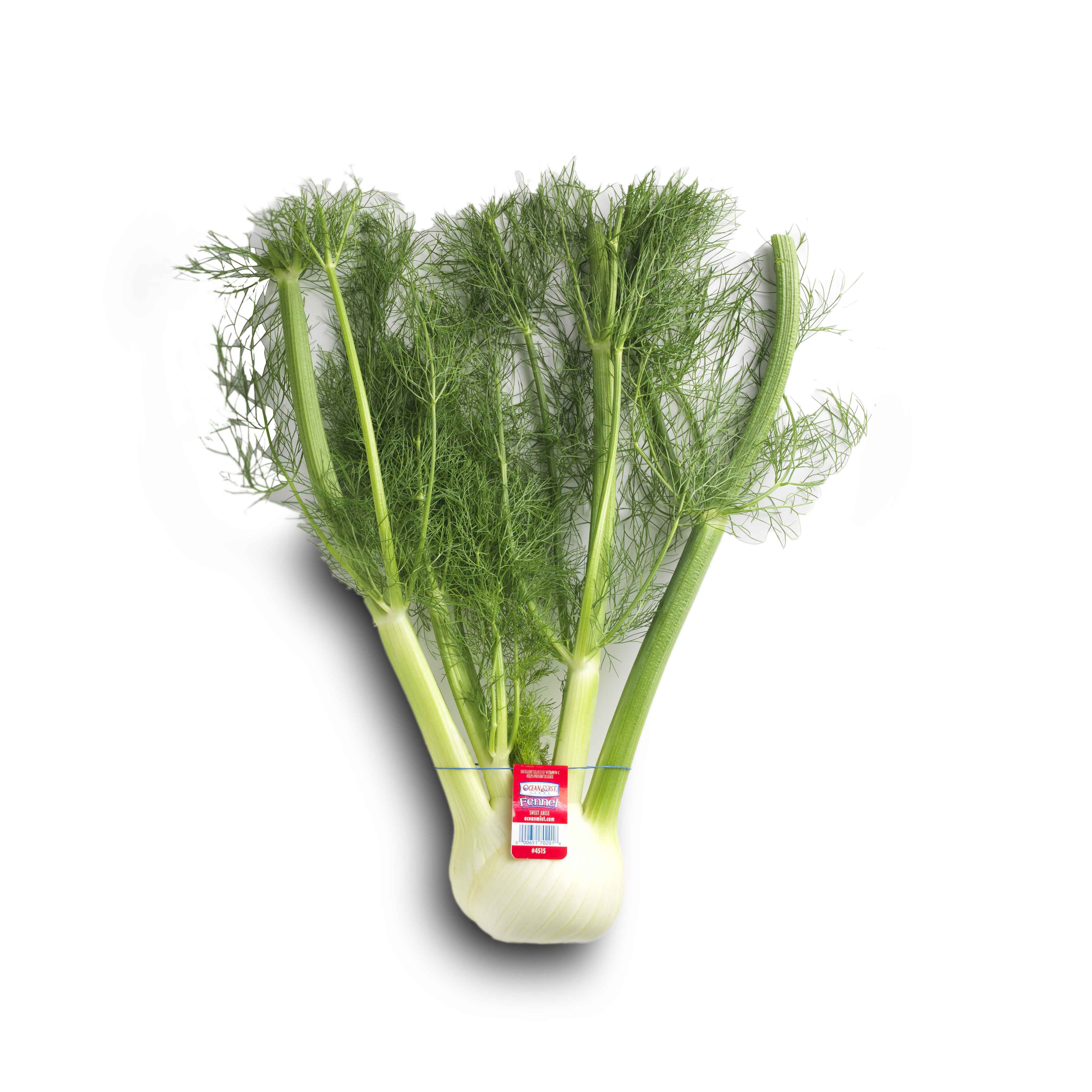 Фенхель Купить В Аптеке В Спб