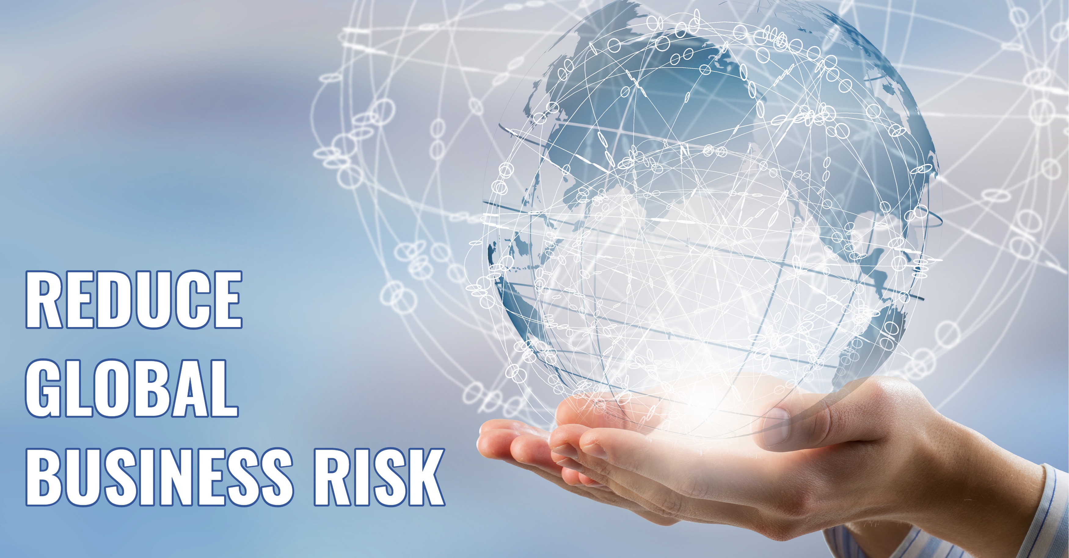 ERP Global Business Risk