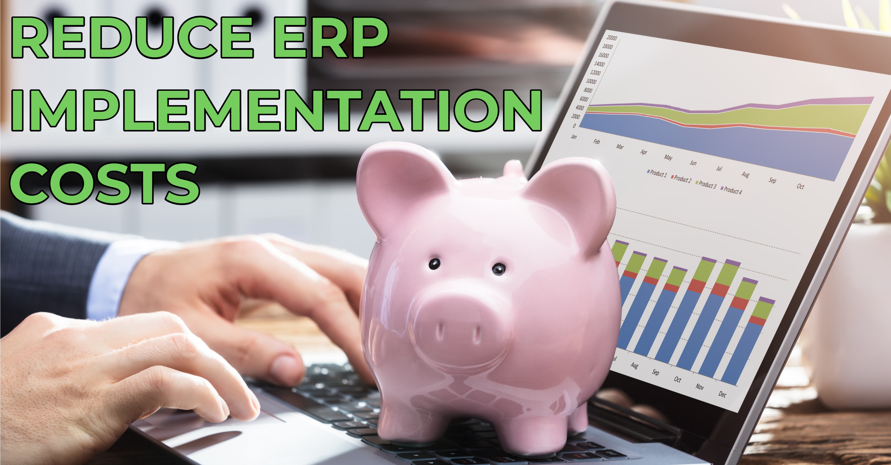 ERP Implementation Cost