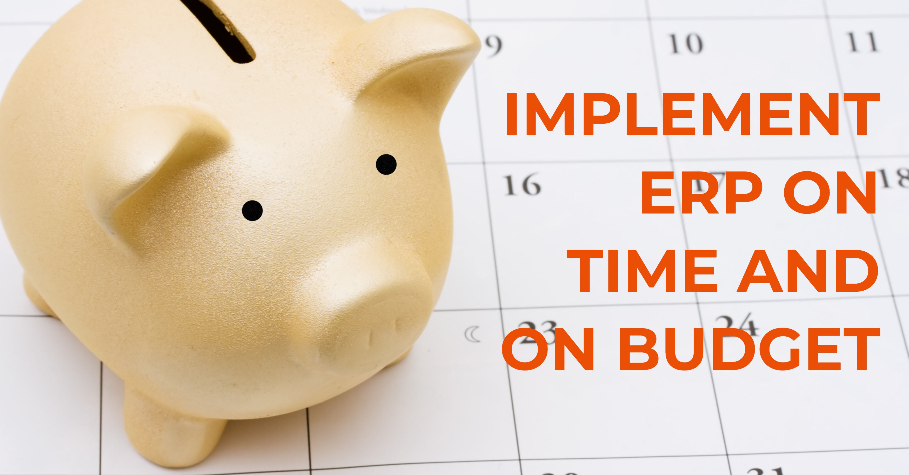 ERP On Time On Budget
