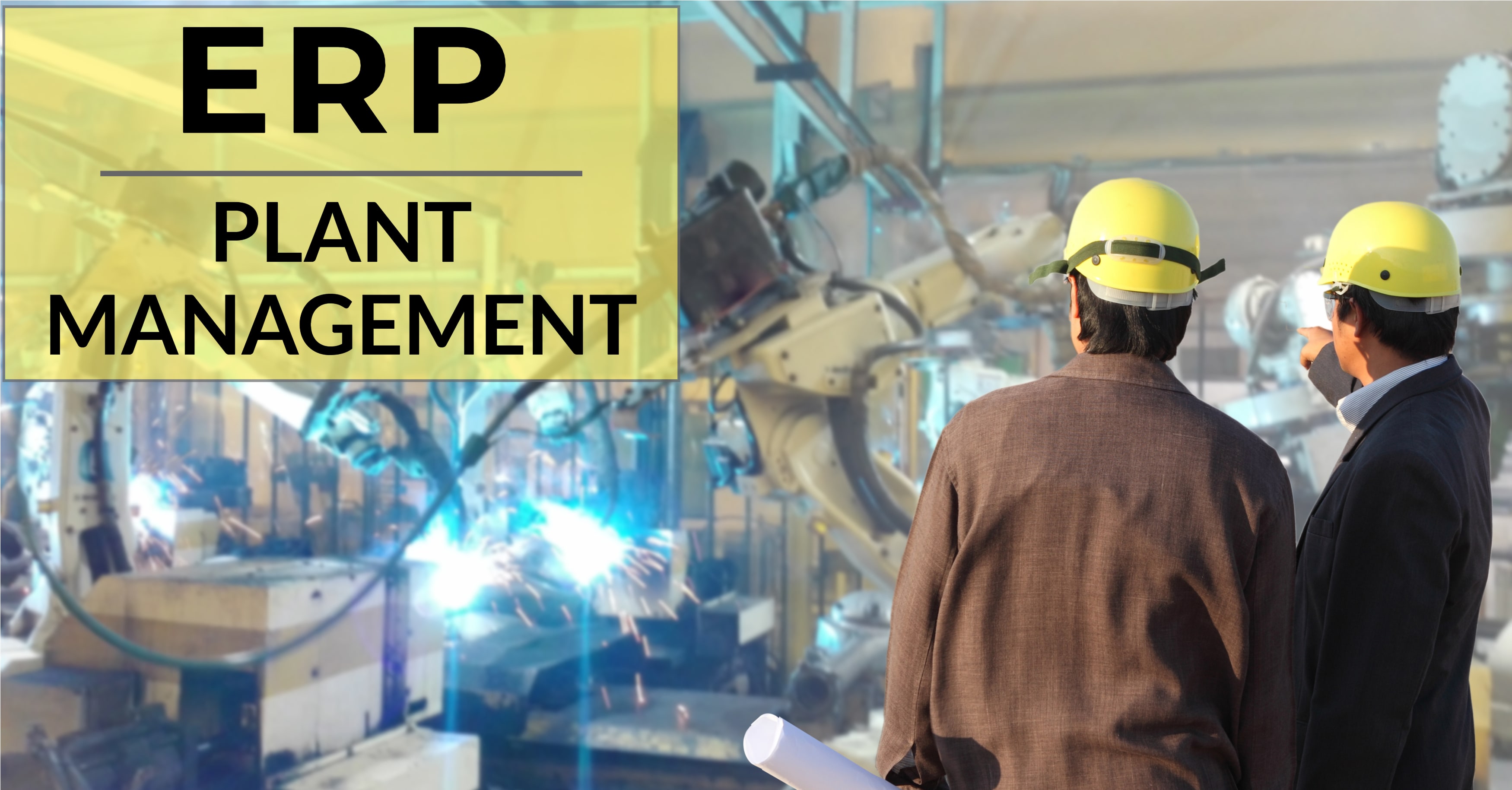 ERP Plant Management