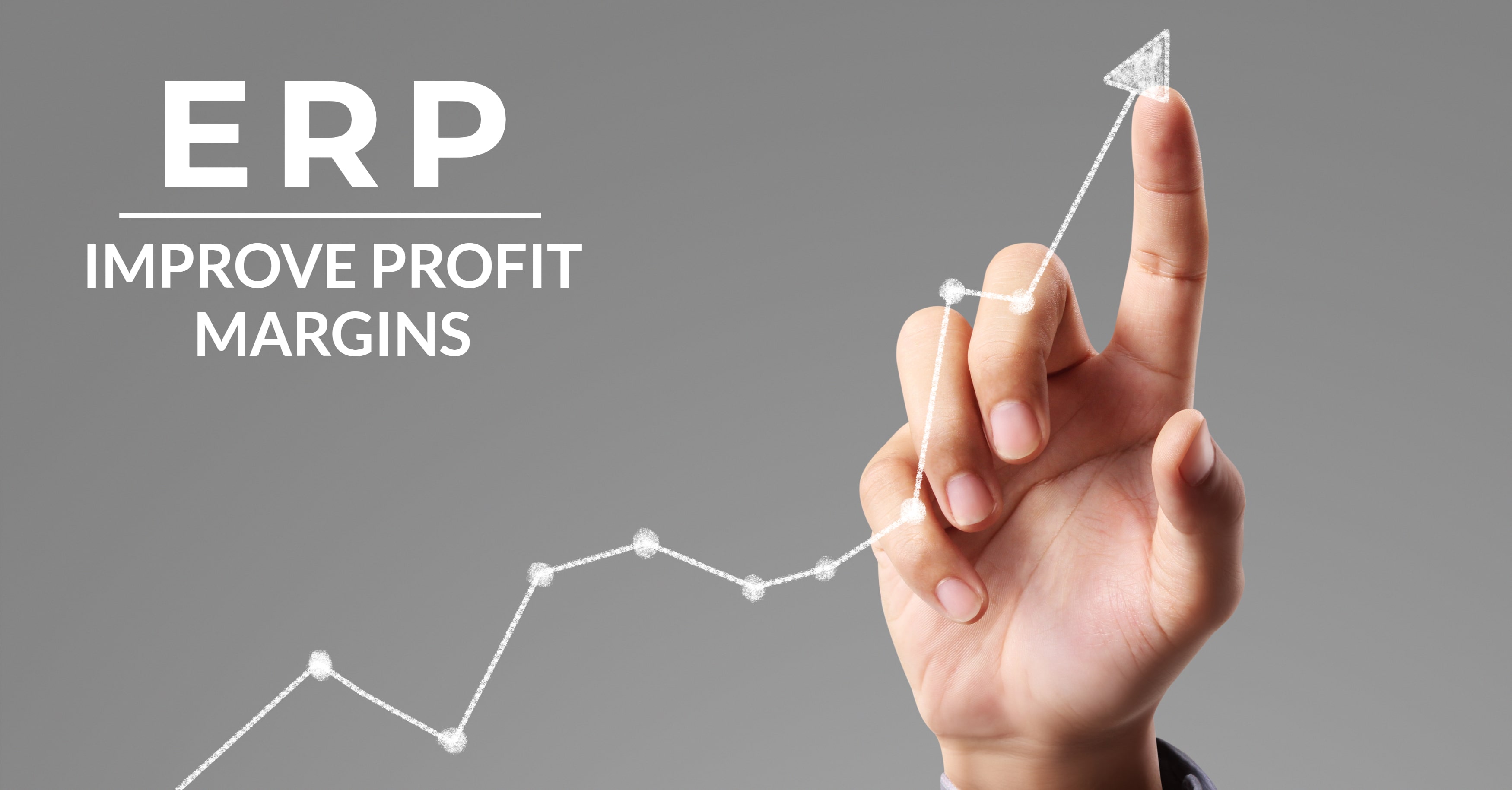 ERP Profit Margins