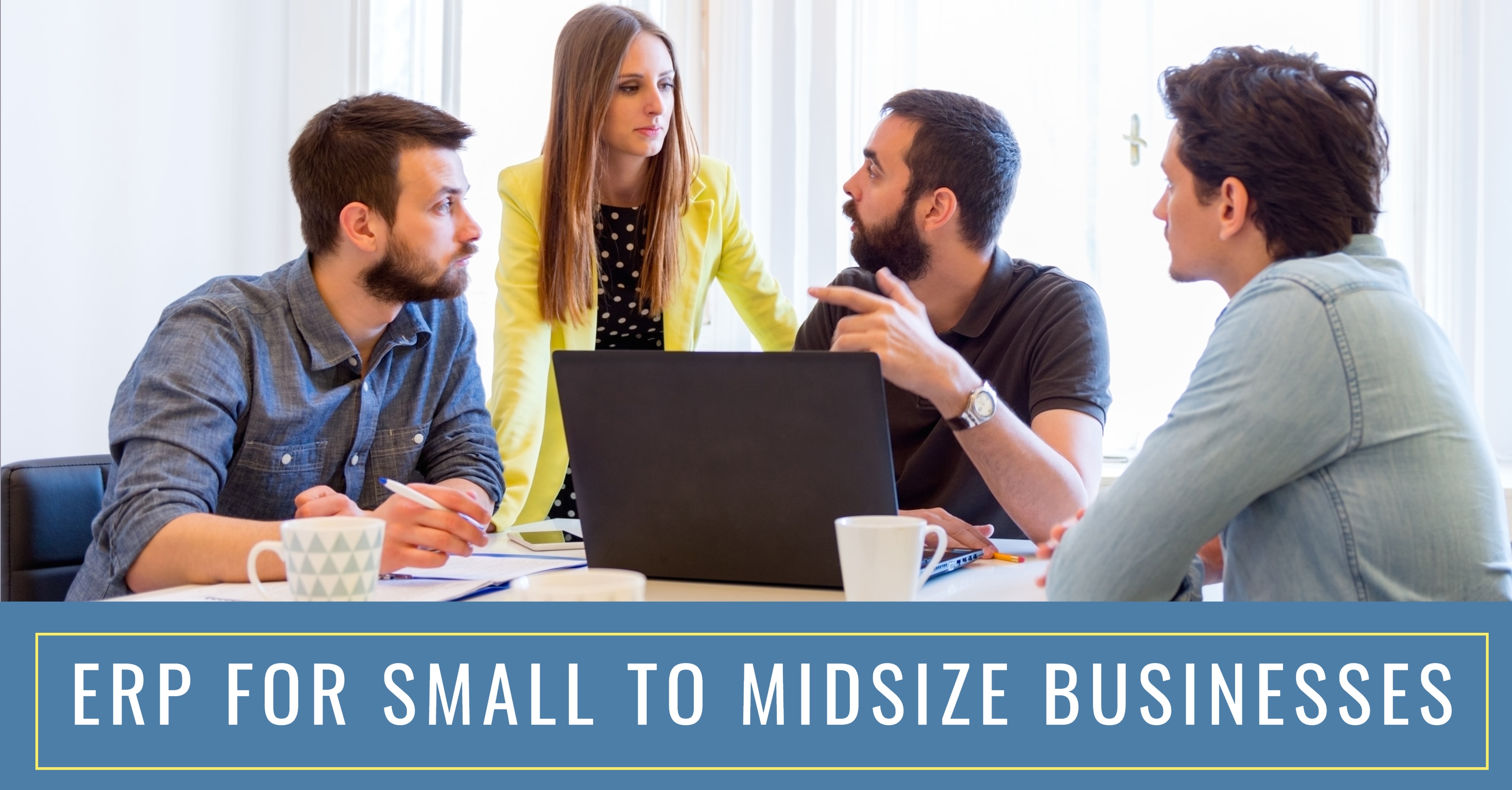 ERP small to midsize business