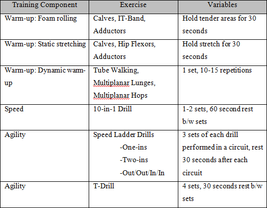 Speed and Agility Training Program Tips for High Performance Players