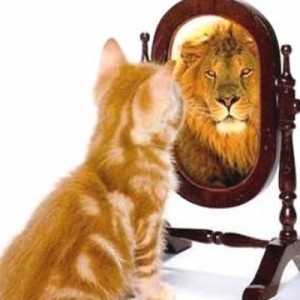 boost-self-confidence-cat-to-lion