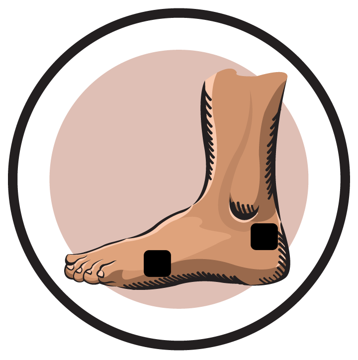 https://cdn2.hubspot.net/hubfs/2535397/ankle-illustration-lateral%20toes.png