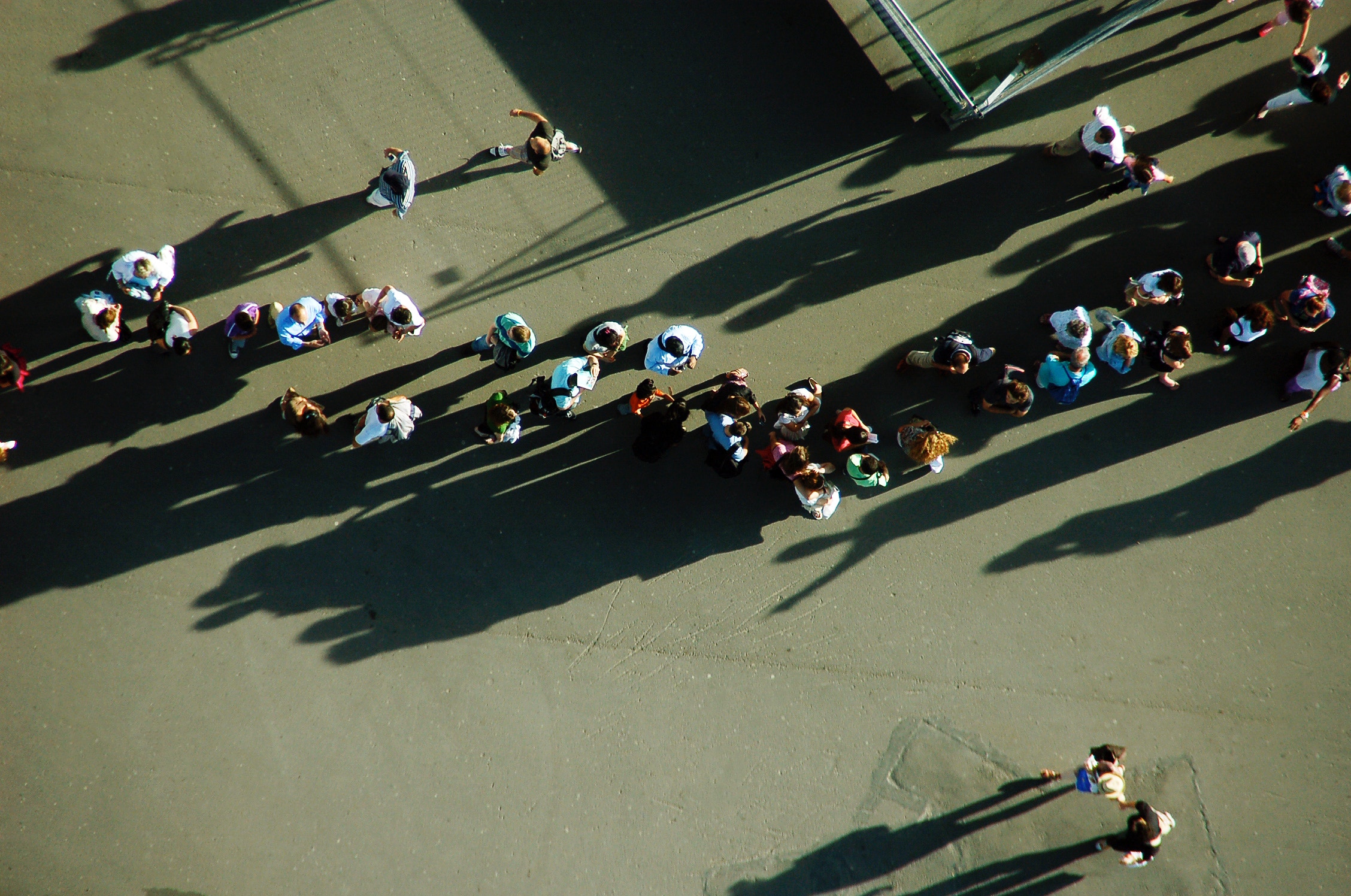 rational herding social proof
