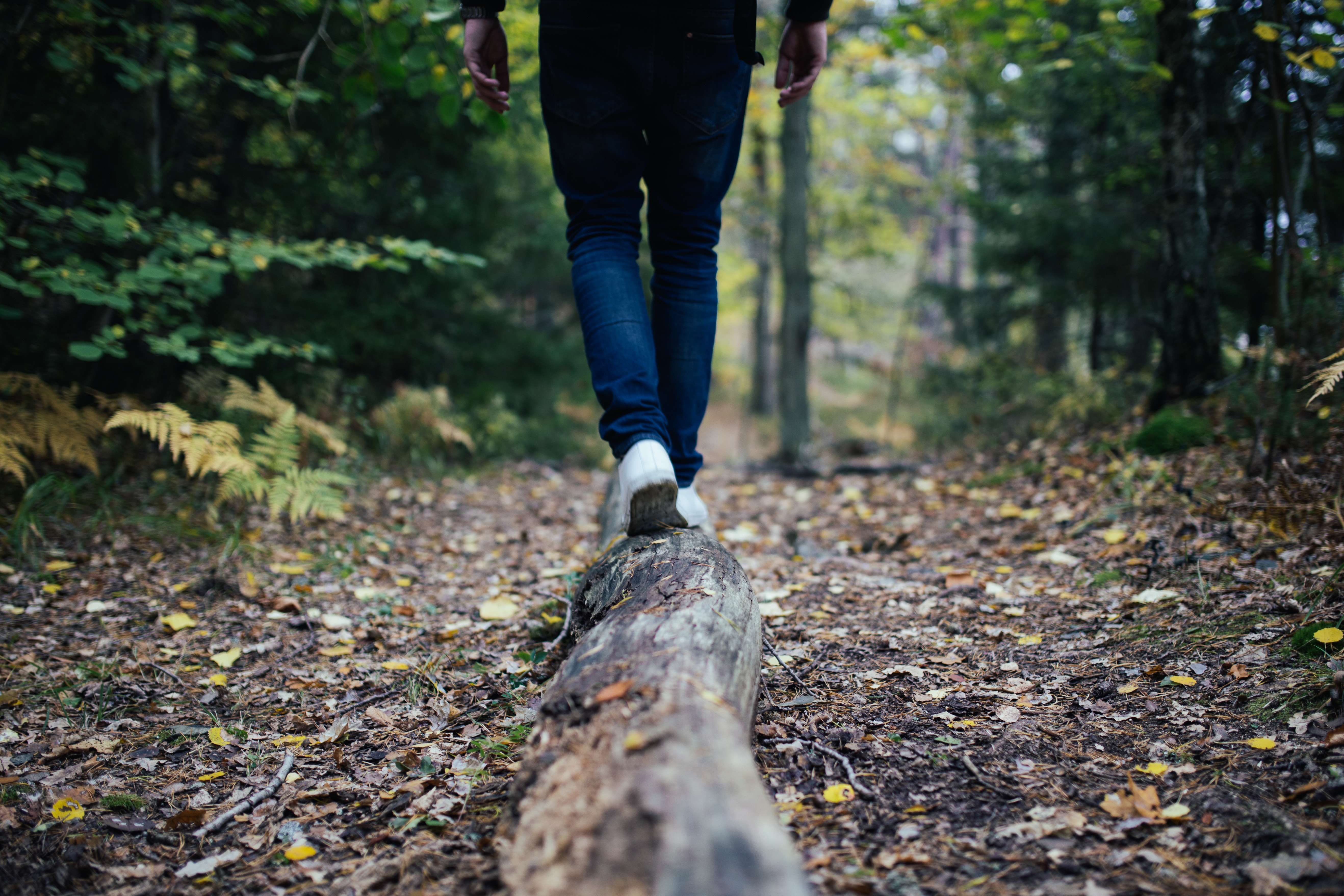 jon-flobrant-1362-unsplash