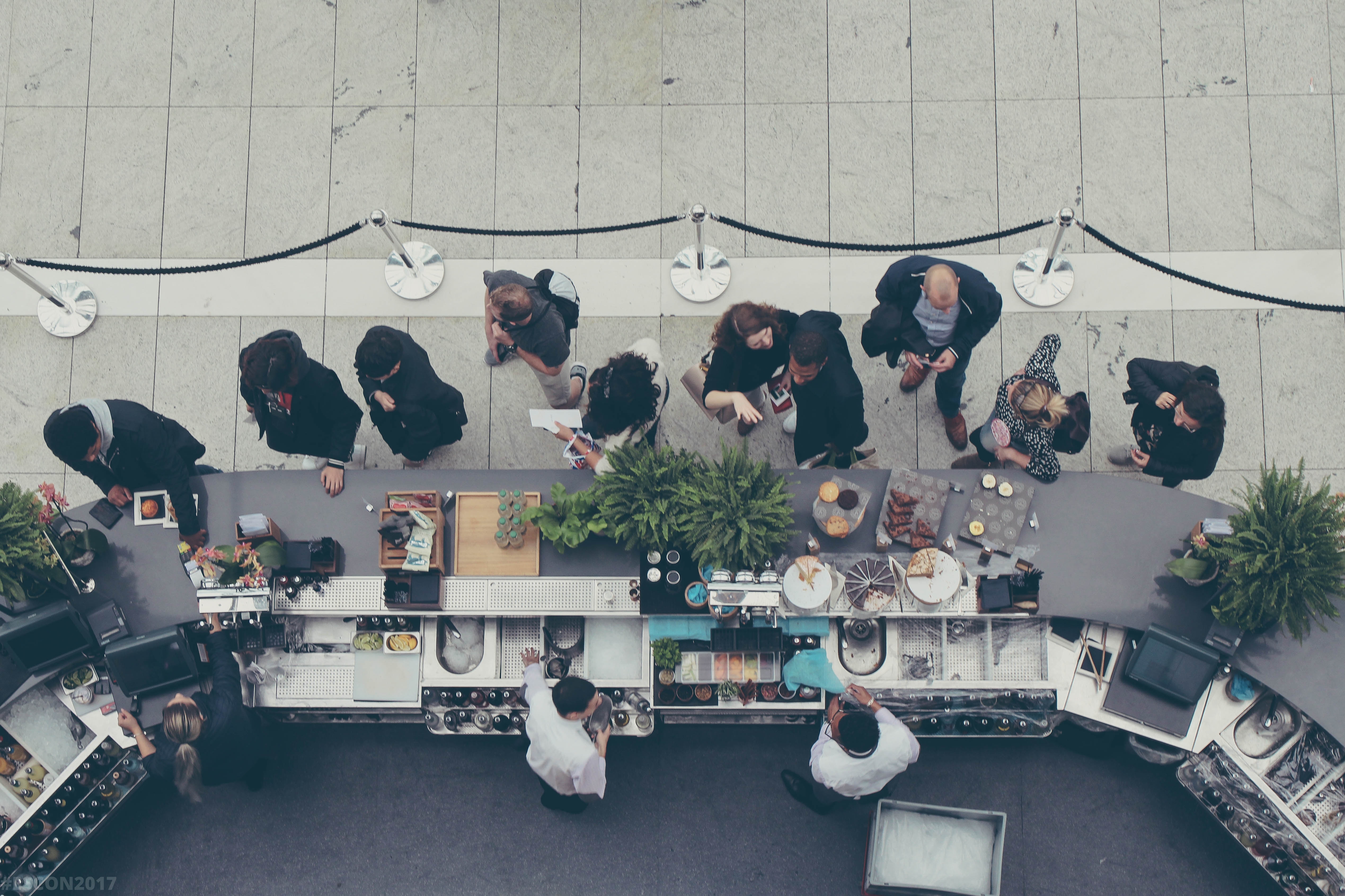 Rational herding behavioural science
