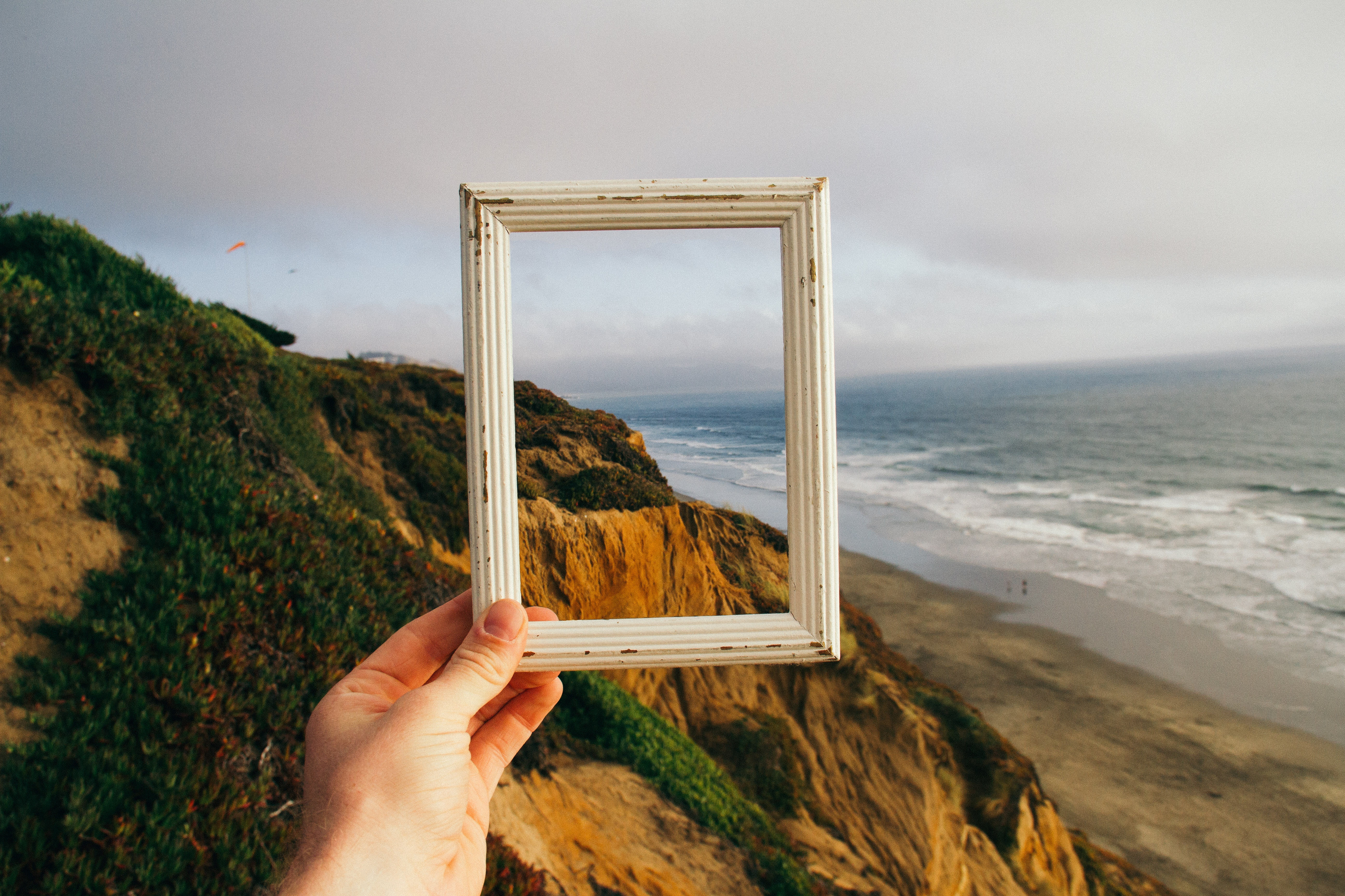 pine-watt-412305-unsplash