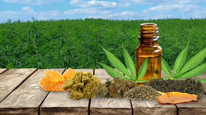 Cannabis-Blog-Full.jpg