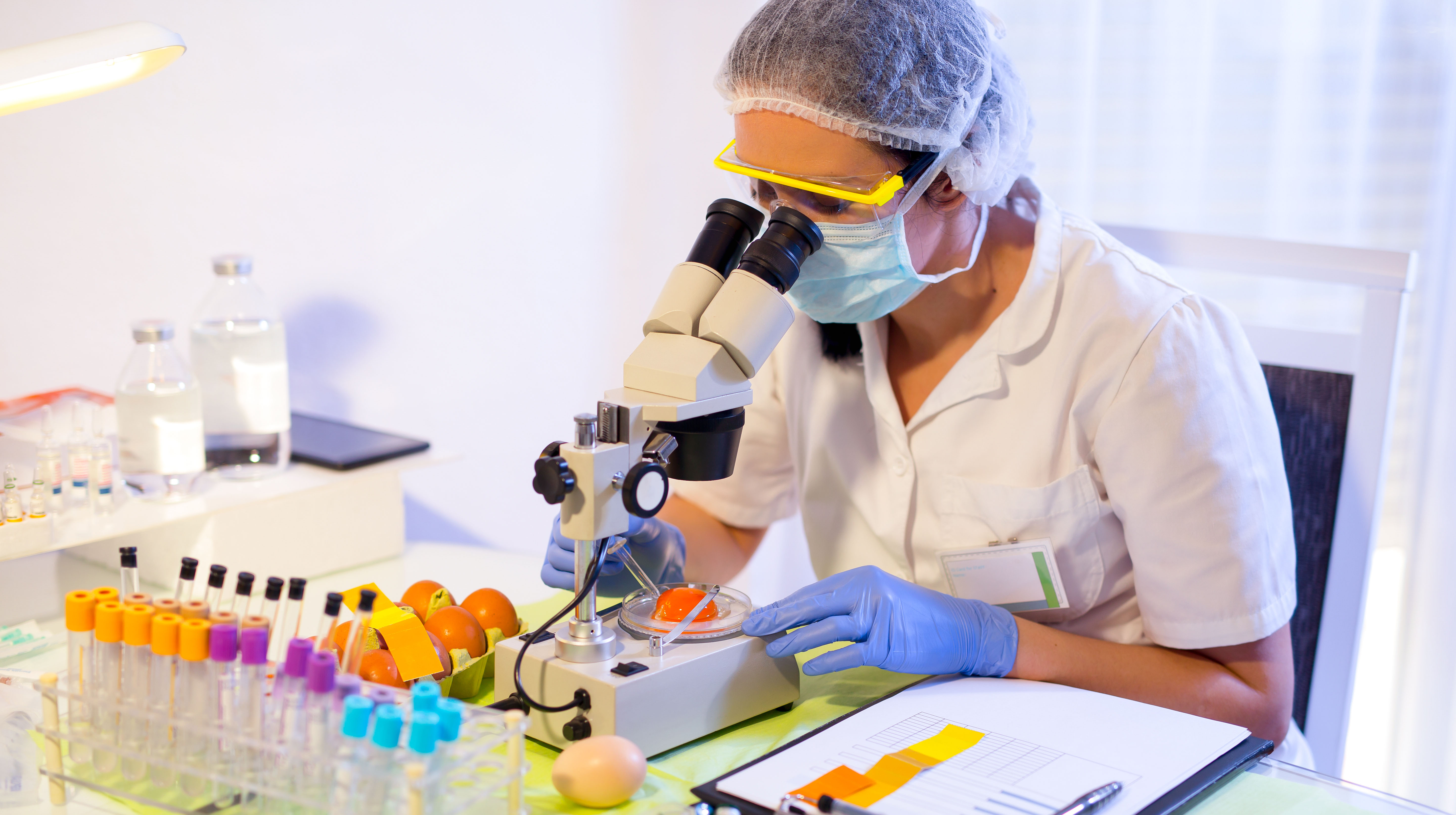 Food Laboratory Testing and Techniques