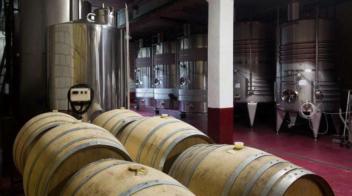 Grape Vines to Tasty Wines