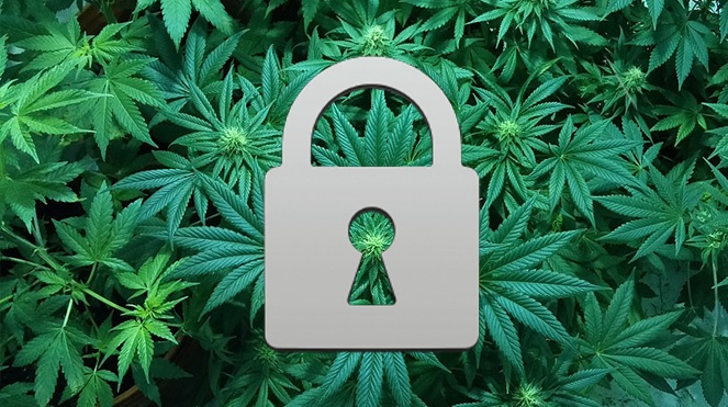 MJ Security-blog-1.jpg