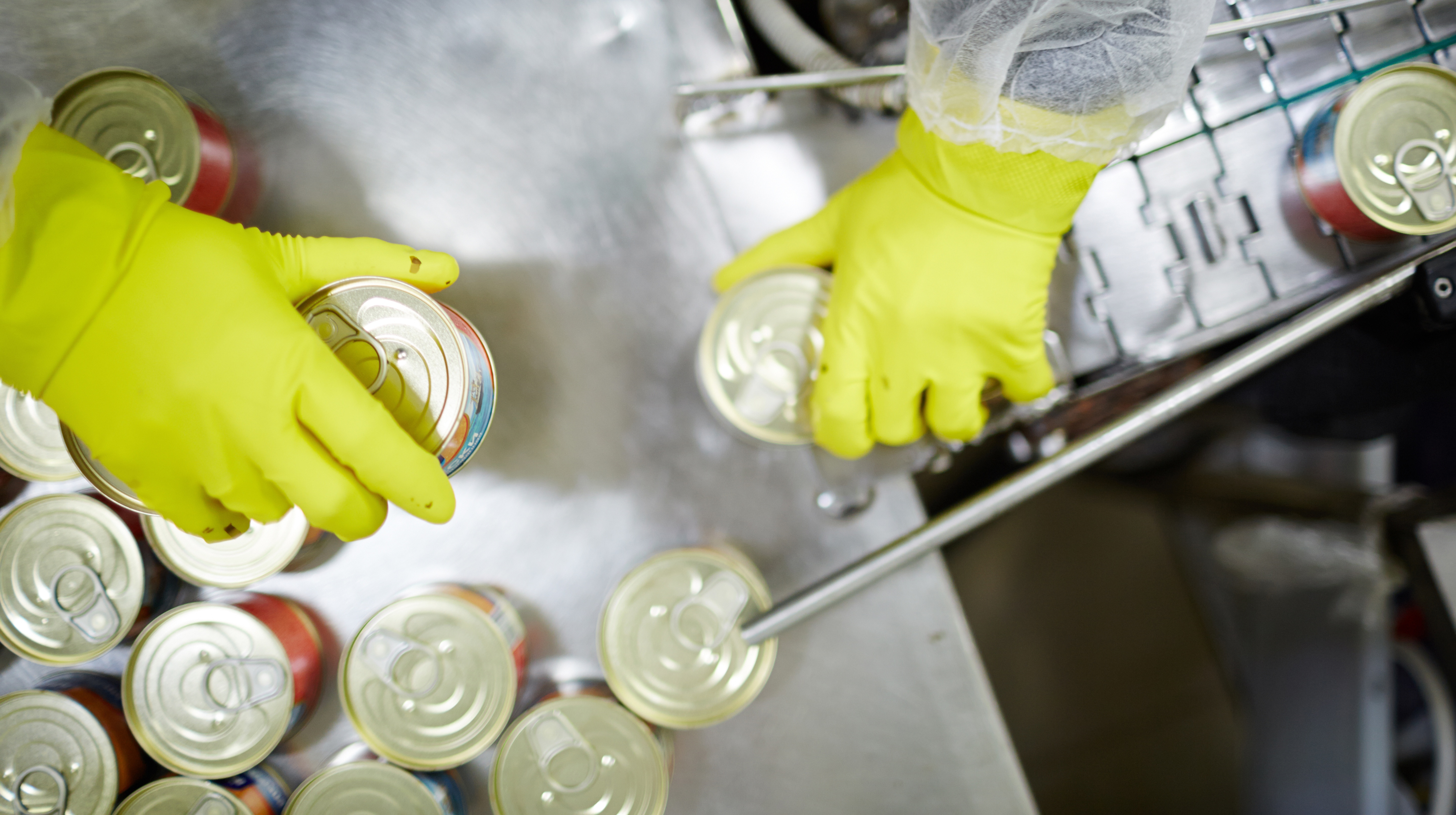 Taking a Close look at Thermal Processing