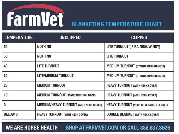 Horse Blanket Temperature Chart