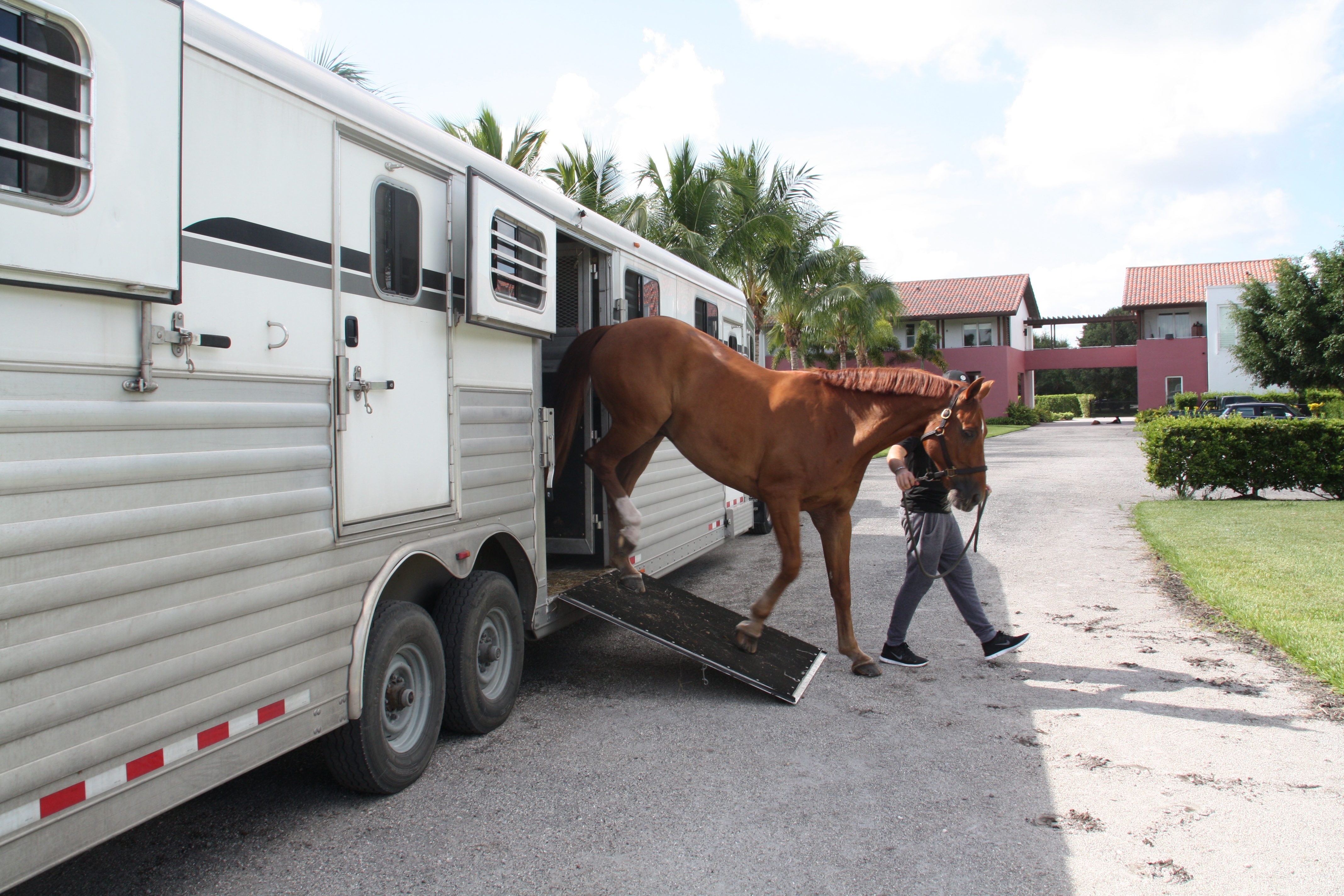 Preparing Your Horse for a Long Distance Ride