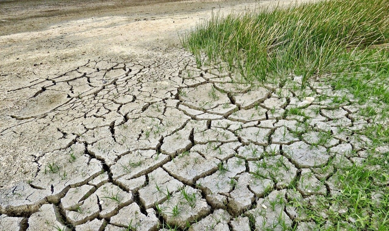 land-degradation-and-deforestation