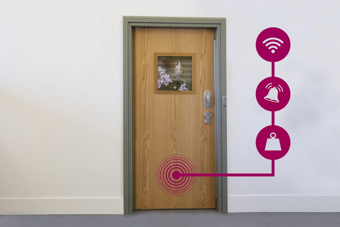 Full Door Ligature Alarm